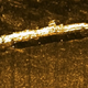 Illustration for article titled Sunken Nazi Submarine Found Just Off the Coast of Nantucket